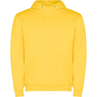 CAPA