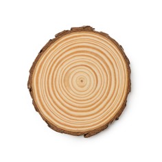 PINEA 2