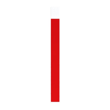 FESTA