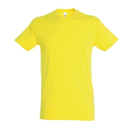 SOL'S REGENT