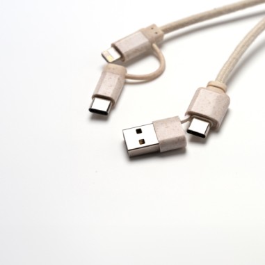 POMBAS Cable 4 en 1.