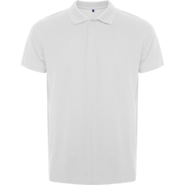 ROVER Polo